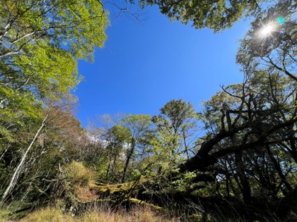 富士山クラブ西臼塚ふれあいの森の写真