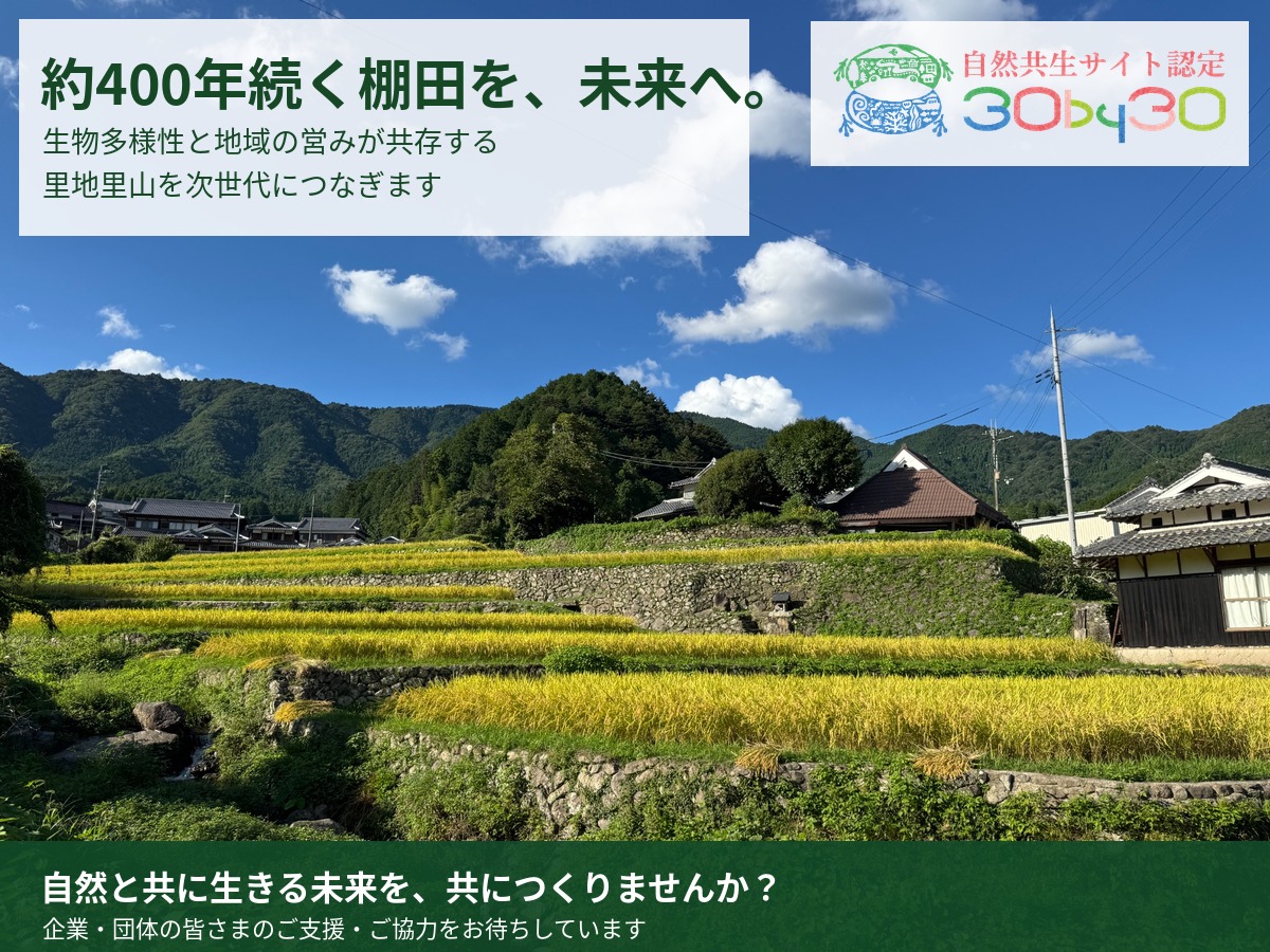 写真：市川町上牛尾 棚田生物多様性自然共生サイト
