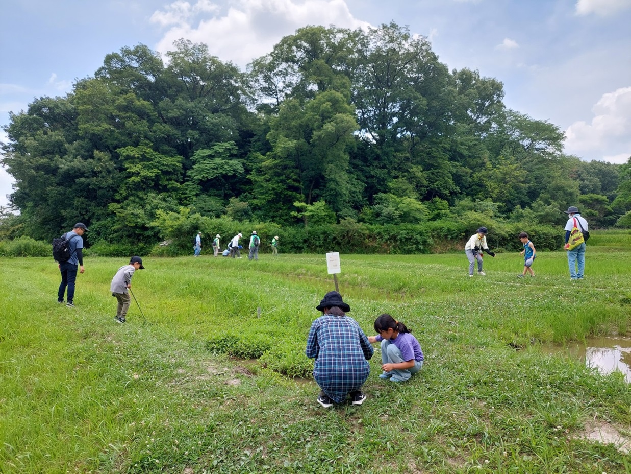 写真：猪高緑地（いたかの森）