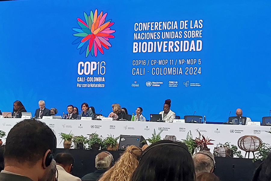 写真：COP国際会議場の様子