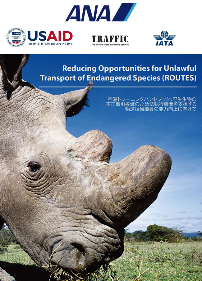 ANAホールディングス株式会社 会社イメージ画像