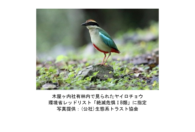 王子ホールディングス株式会社 会社イメージ画像