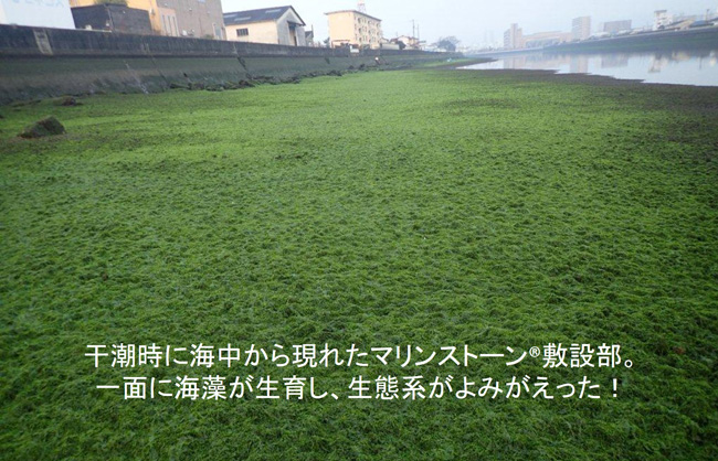 JFEホールディングス株式会社 会社イメージ画像