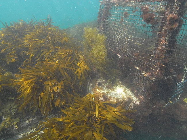 住友大阪セメント株式会社 会社イメージ画像