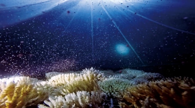 日本トランスオーシャン航空株式会社 会社イメージ画像