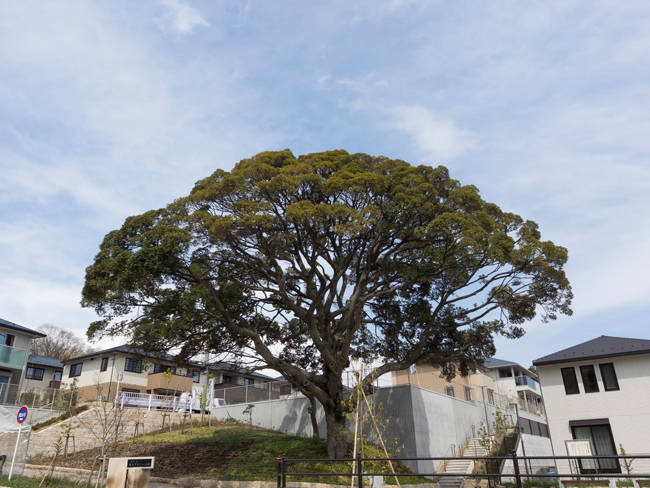 大和ハウス工業株式会社 会社イメージ画像