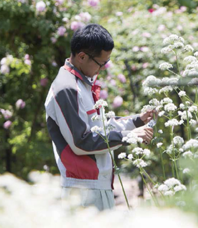 武田薬品工業株式会社 会社イメージ画像