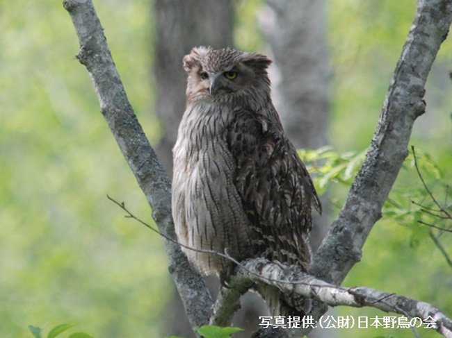 富士通株式会社 会社イメージ画像