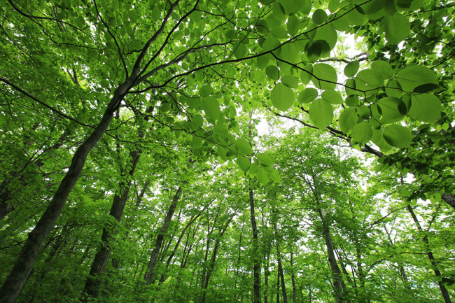 三井物産株式会社 会社イメージ画像