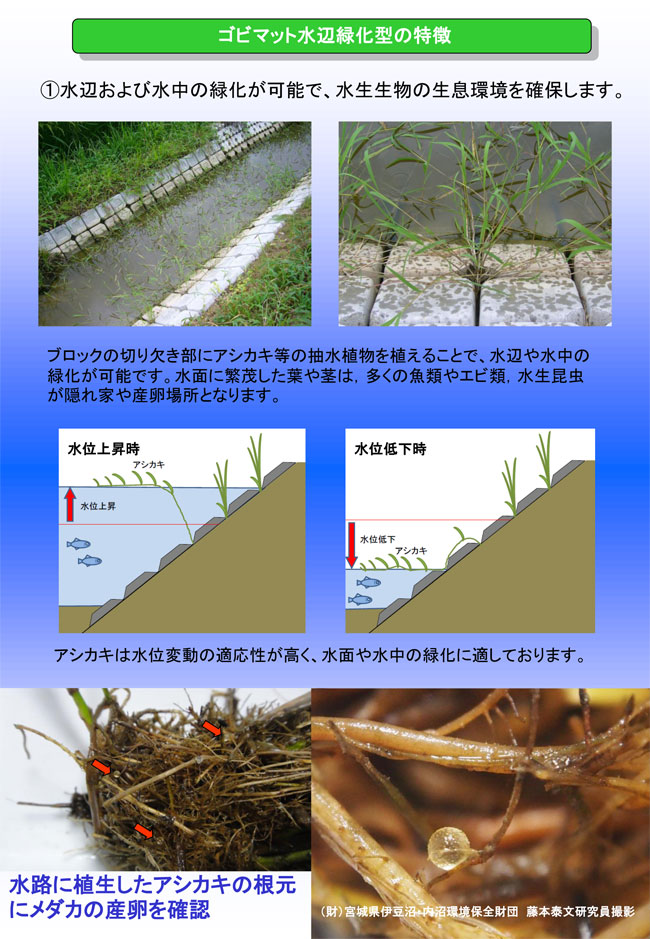 三菱ケミカルホールディングス 会社イメージ画像