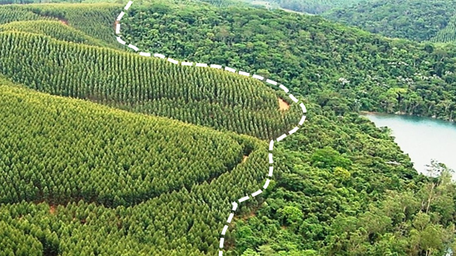 王子ホールディングス株式会社 会社イメージ画像