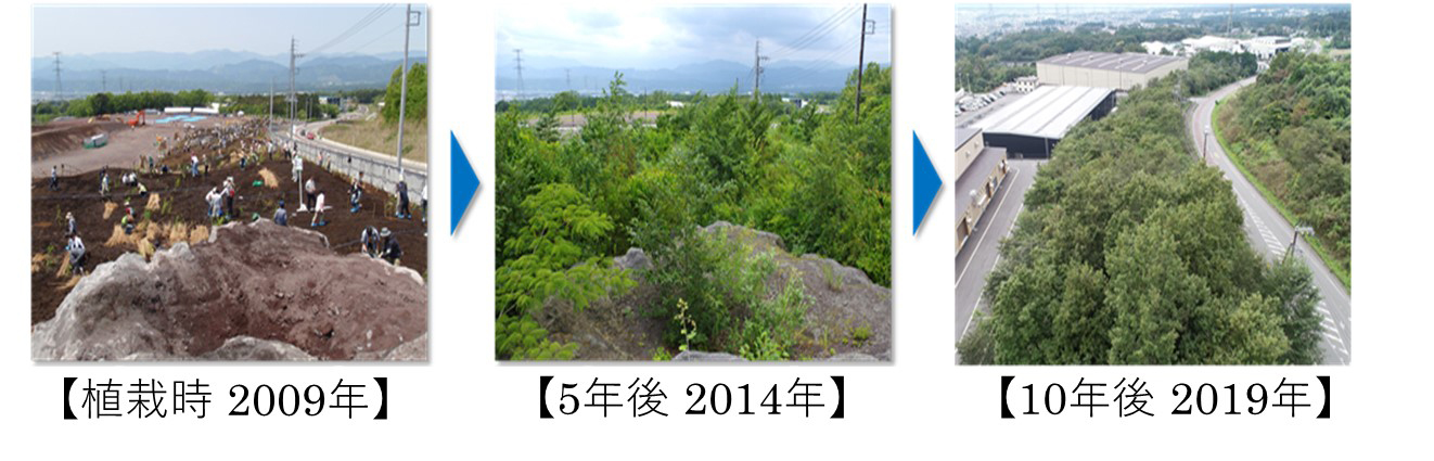 大成建設 会社イメージ画像