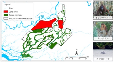 住友林業株式会社 会社イメージ画像
