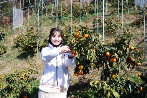 ANAあきんど株式会社 会社イメージ画像