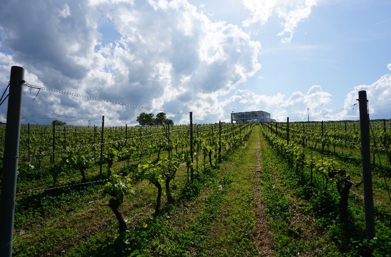 キリンホールディングス株式会社 会社イメージ画像