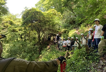 損害保険ジャパン株式会社 会社イメージ画像
