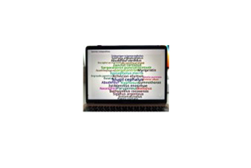 日本郵船株式会社 会社イメージ画像