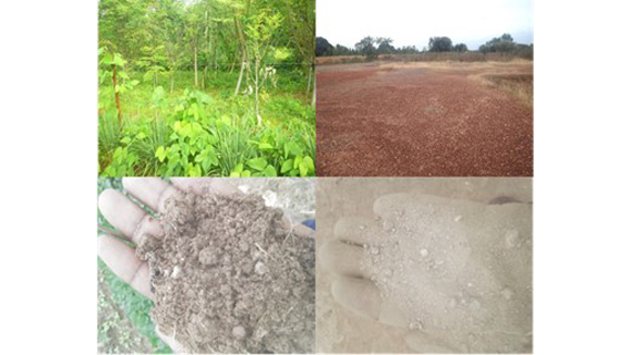 株式会社SynecO 会社イメージ画像