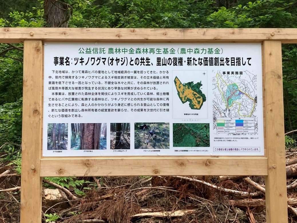 農林中央金庫 会社イメージ画像