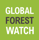 Global Forest Watch ロゴ
