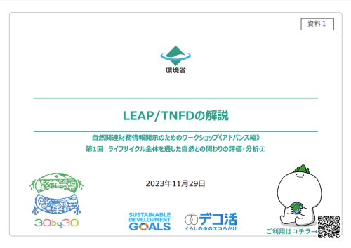 LEAP/TNFDの解説
