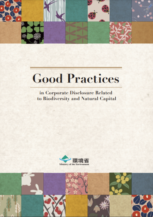 企業情報開示のグッドプラクティス集(英語版)