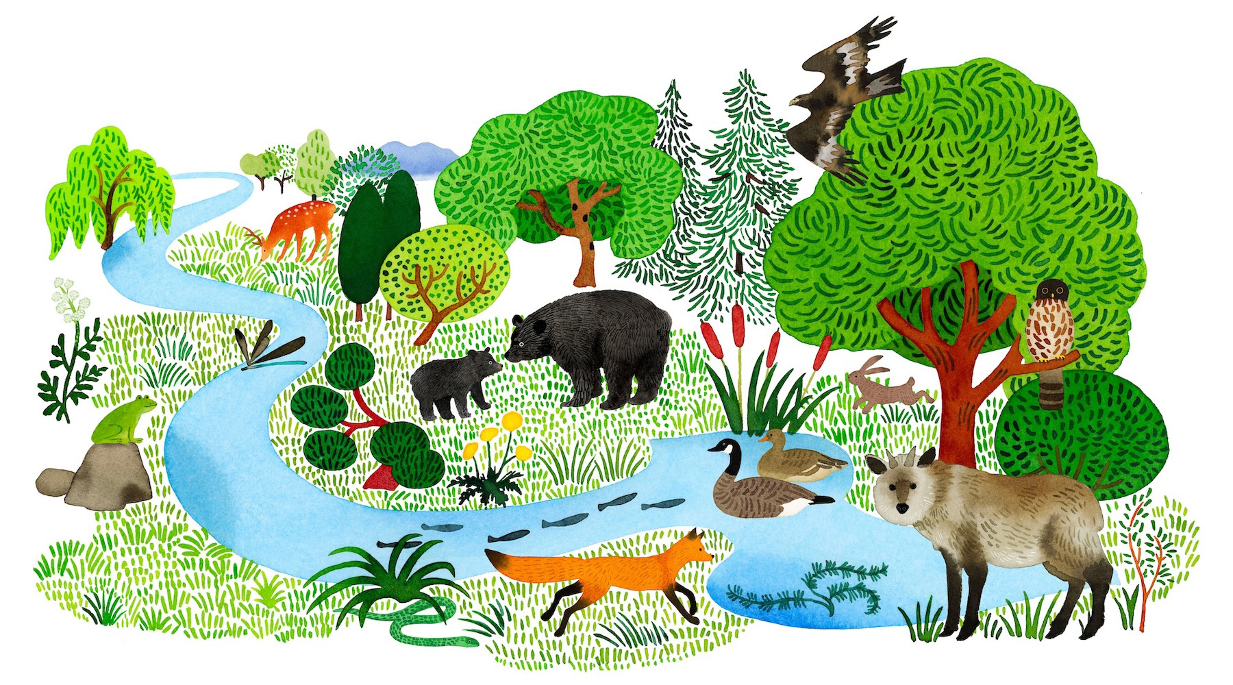 自然が回復した日本の風景。森・川・海に動植物があふれている