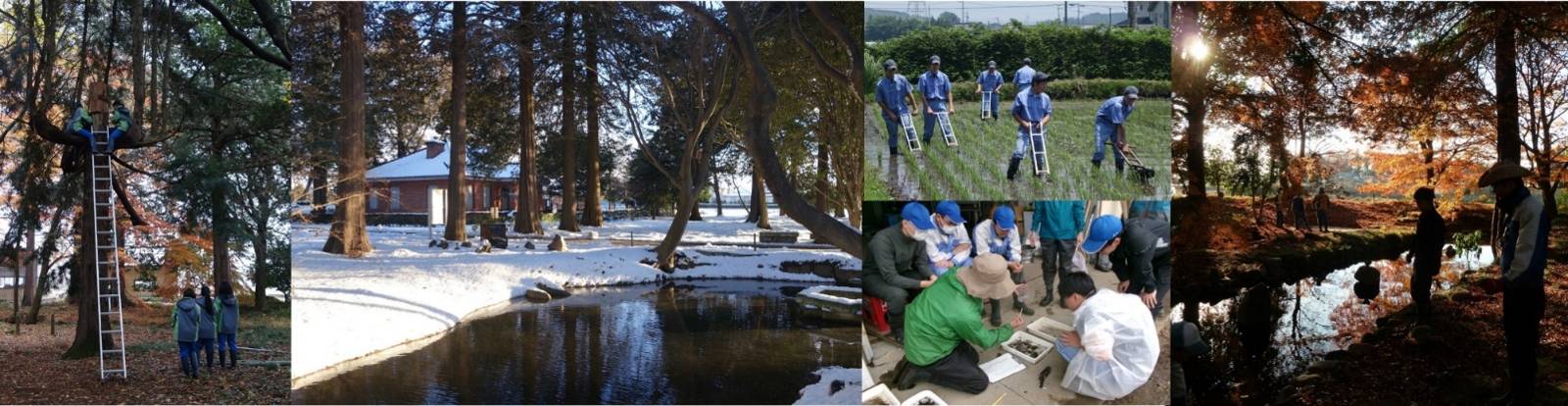 （5枚の写真）野球のユニフォームを着て水田で作業する学生、はしごで木の上に登り作業する学生、指導員の話を聞く生徒たち、美しい森