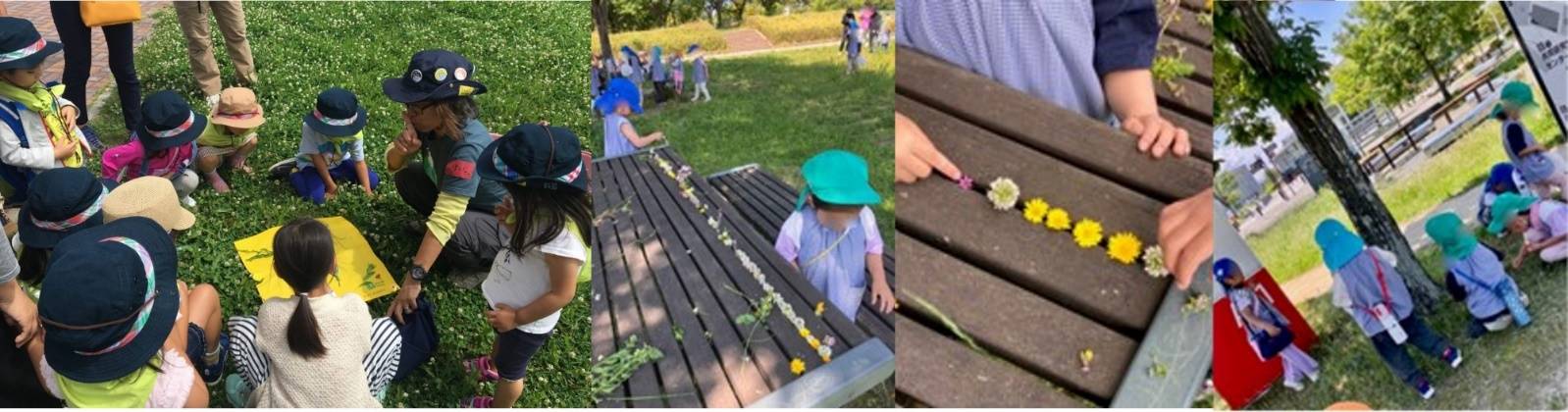 （4枚の写真）公園の机に取った花や草を並べたり、円になって先生の話を聞く子どもたち