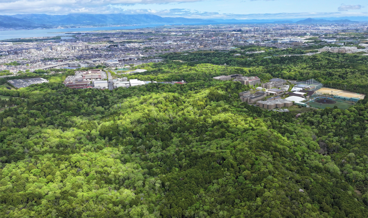 （写真）広大な森、奥には住宅街