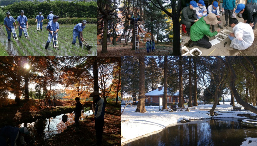 （5枚の写真）野球のユニフォームを着て水田で作業する学生、はしごで木の上に登り作業する学生、指導員の話を聞く生徒たち、美しい森