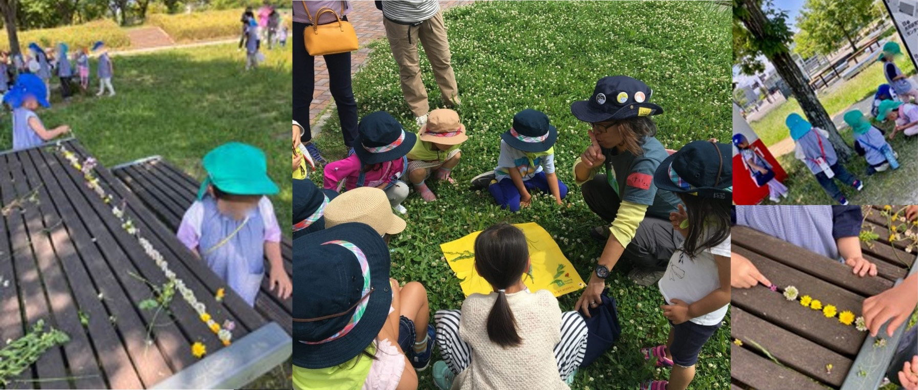 （4枚の写真）公園の机に取った花や草を並べたり、円になって先生の話を聞く子どもたち