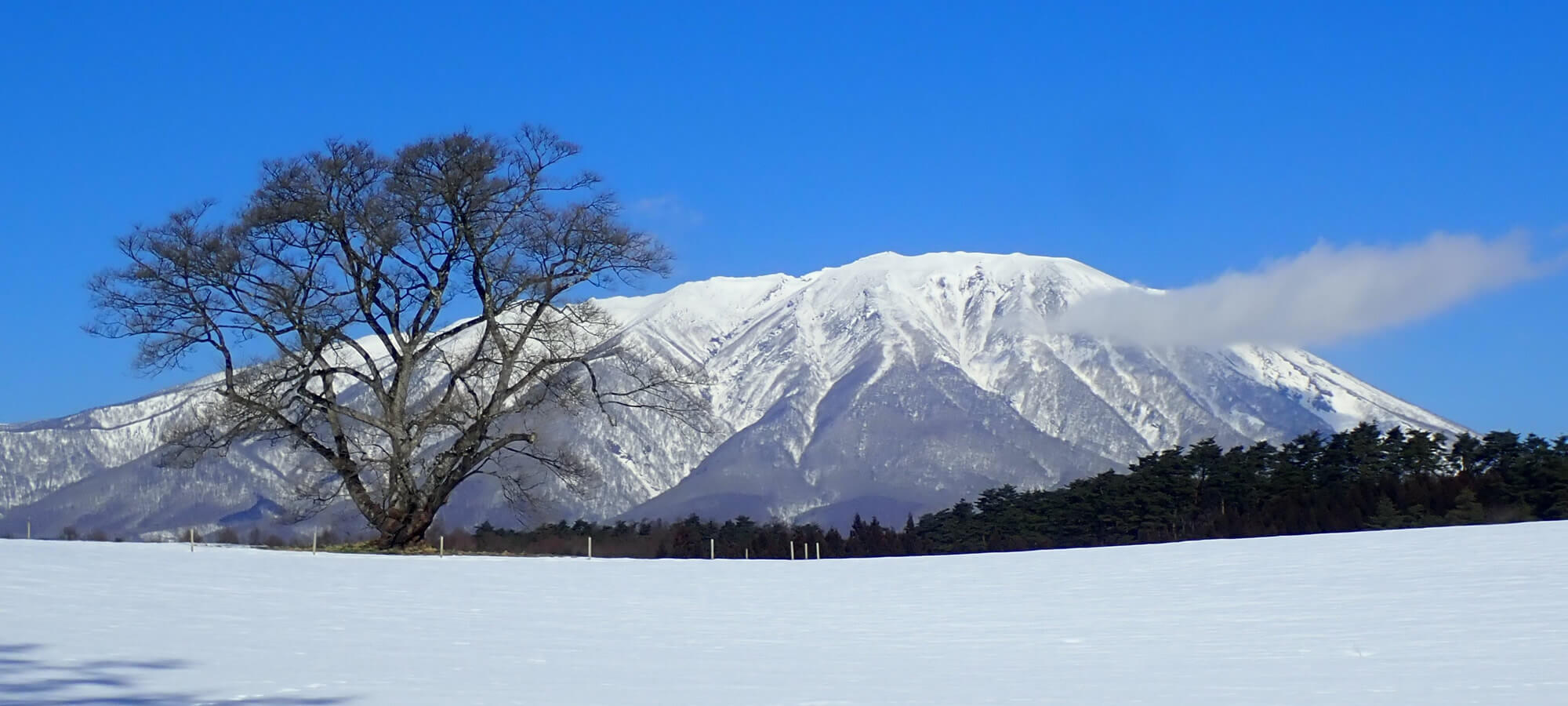 雪原が広がり、遠目には雪の積もった山脈がみられる。（十和田八幡平国立公園、工藤紀恵）