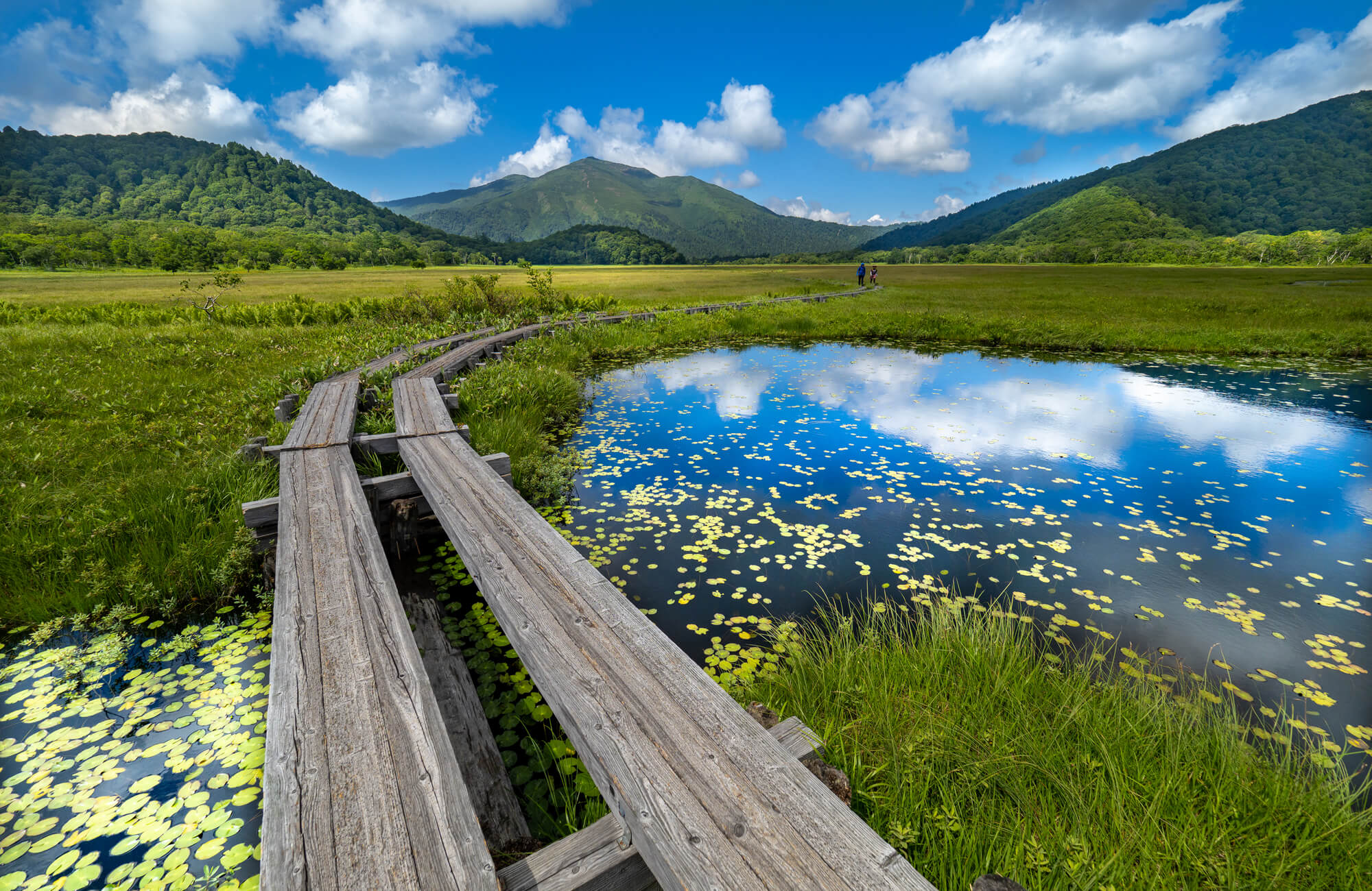 遠くに見える山並みへ続く、湿原の中の木道の写真（尾瀬国立公園、安類智仁）