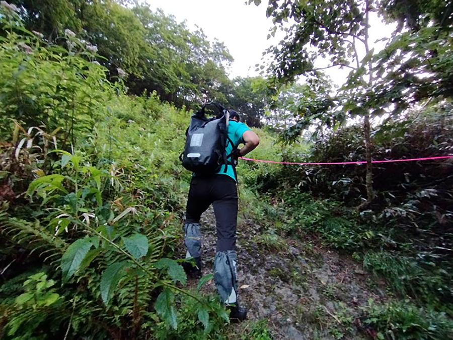 ピンクテープが登山ルート