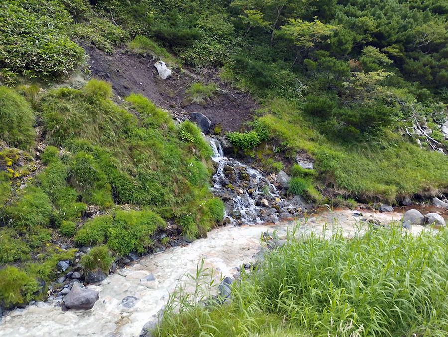 泊場で汲める水