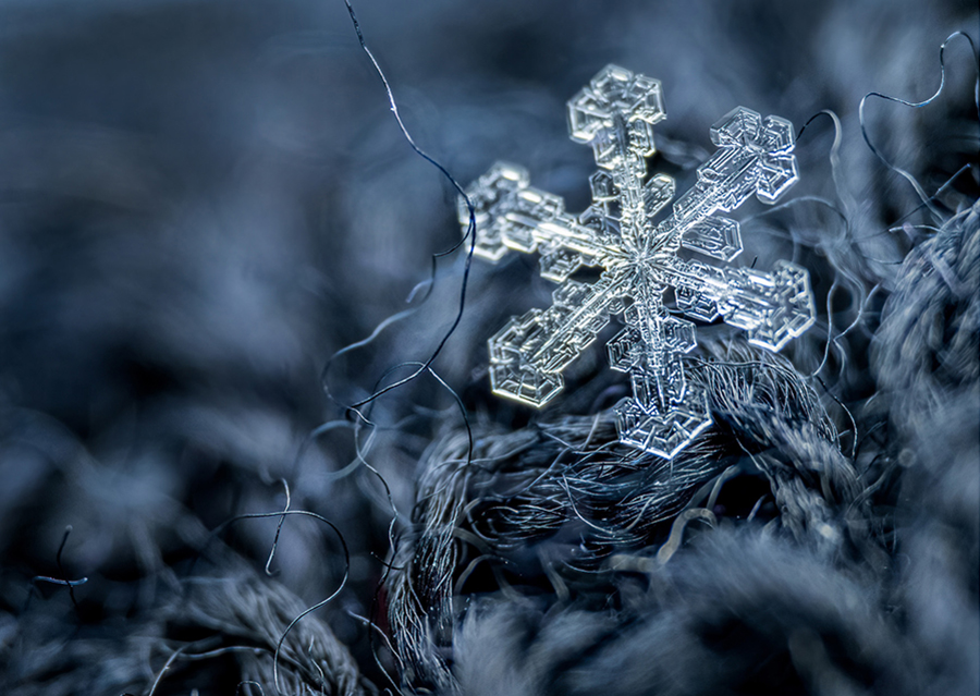 雪の結晶観察