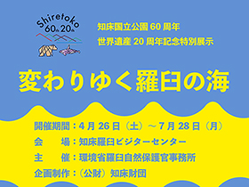 知床世界自然遺産20周年特別展示「変わりゆく羅臼の海」