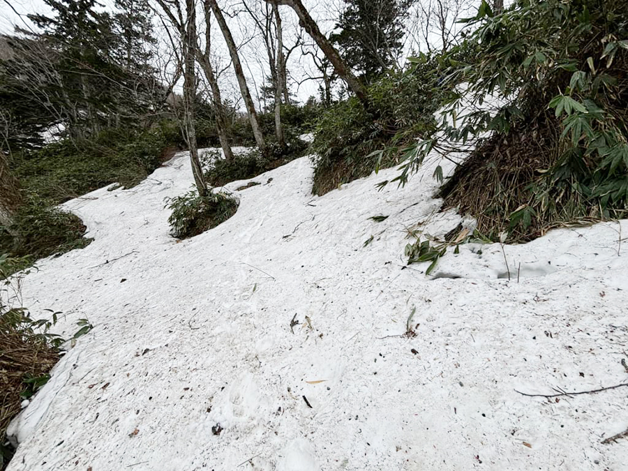 滝見台に向かう階段写真