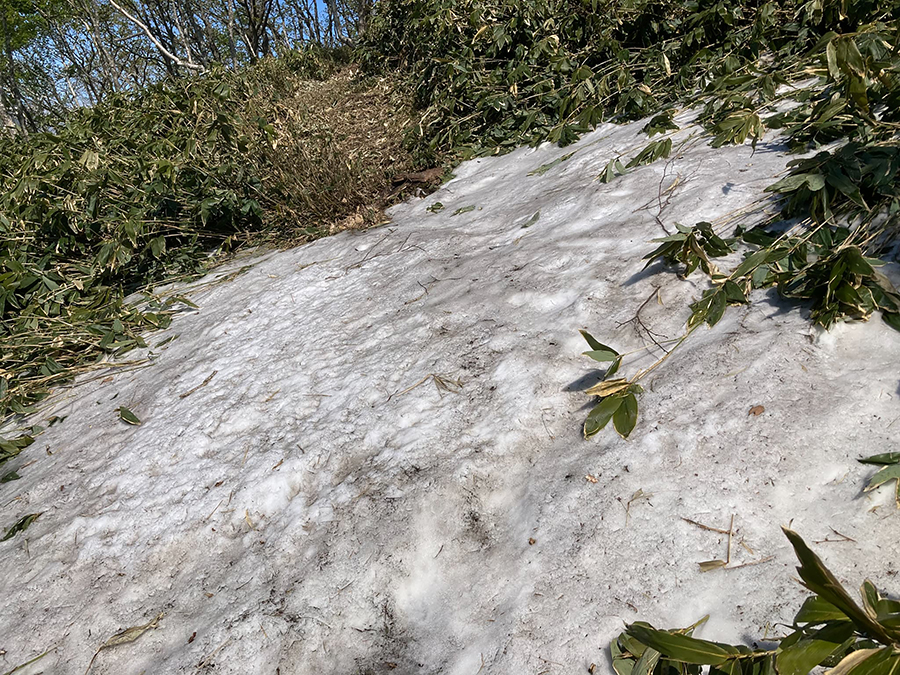 山頂手前の残雪