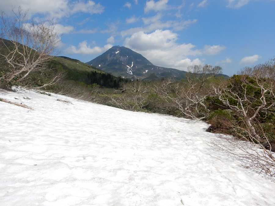 残雪で歩道が一部不明瞭