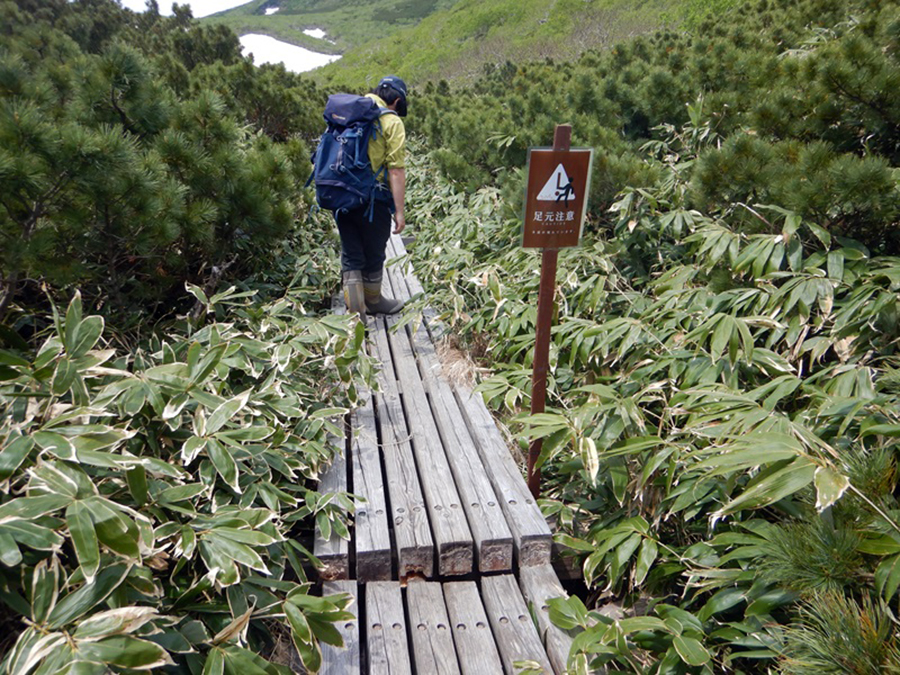 破損した木道2