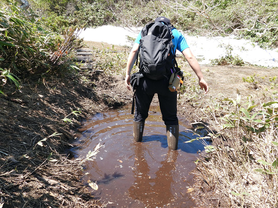 水溜りの状況