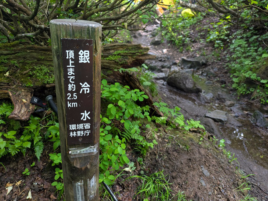 銀冷水の様子