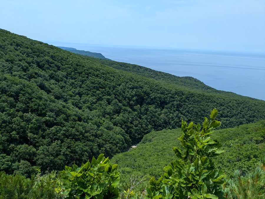 登山道上から見るカムイワッカ川