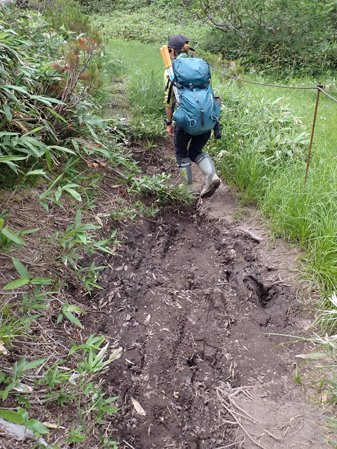 ぬかるみを歩いた跡