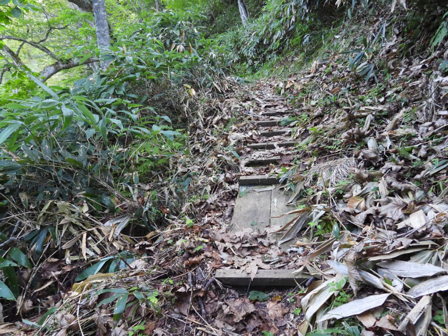 遊歩道の写真0917