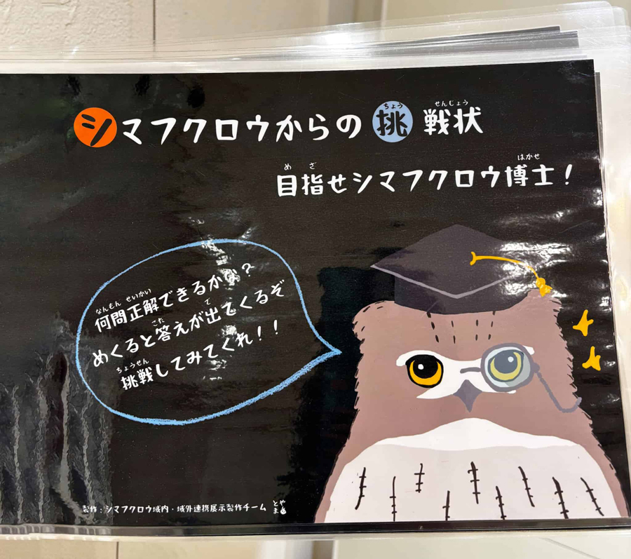 シマフクロウクイズの表紙