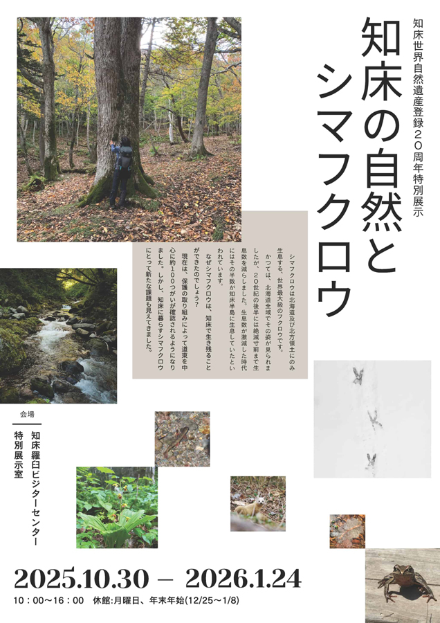 知床の自然とシマフクロウのポスター