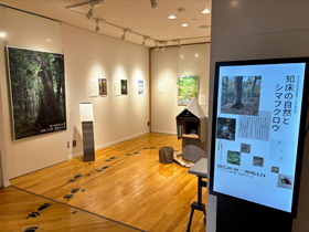 特別展示室の様子
